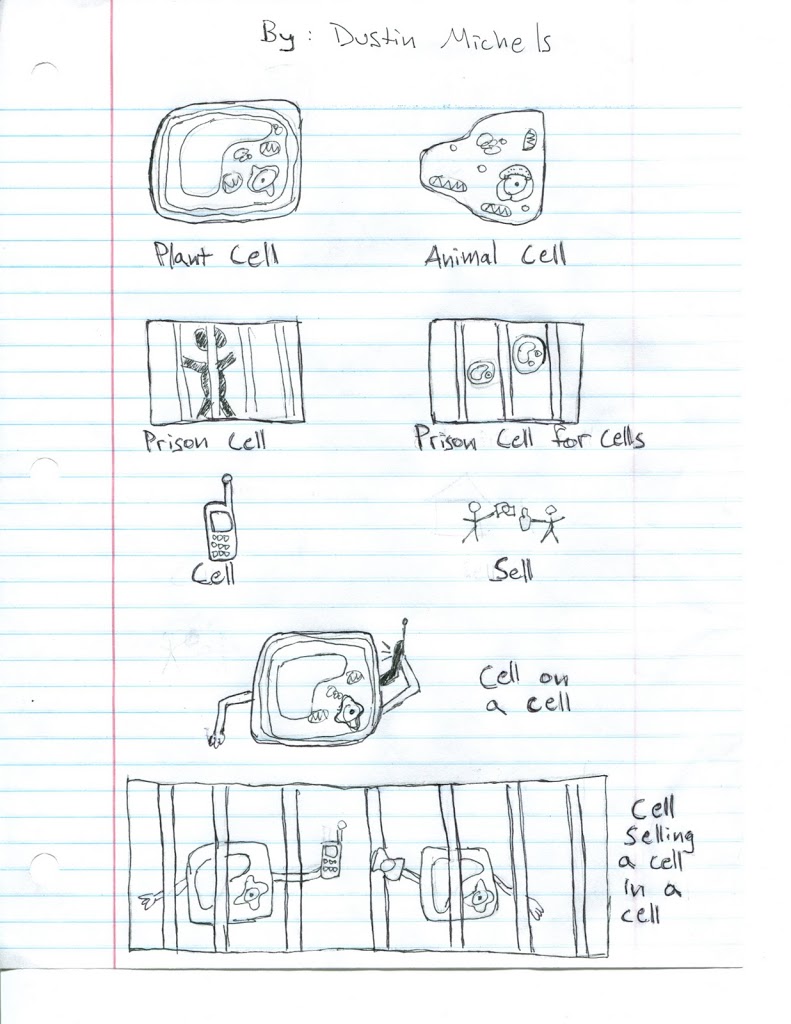 a cartoon showing various types of cells