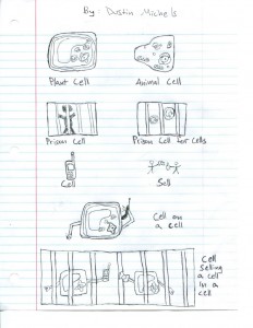 a cartoon showing various types of cells